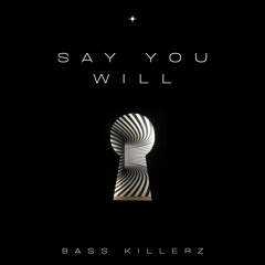 Bass Killerz - Say You Will (Original Mix)