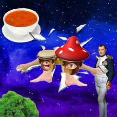 The Birth of Fungal Bongo