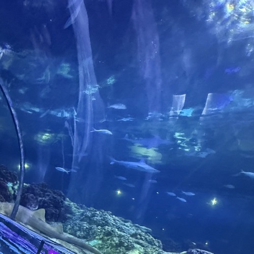 Come Outside Instrumental