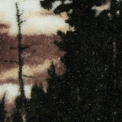 Where Did You Sleep Last Night