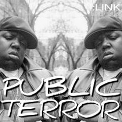 Public Terror