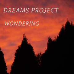 Wondering