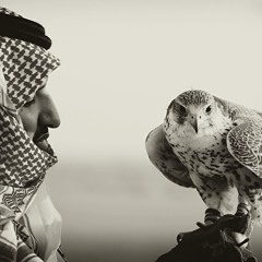 عند الموادع - Sultan Bin Abdulaziz | محمد عبده