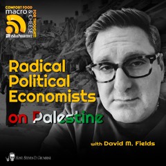 Radical Political Economists on Palestine with David Fields