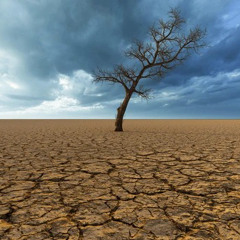 Icks “drylands” Sustain
