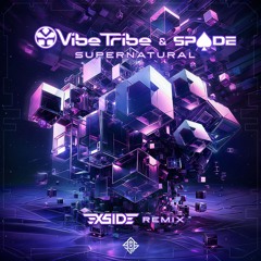 Vibe Tribe & Spade - Supernatural ( X-Side RMX ) Out now