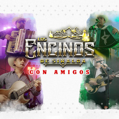 Lalo corral
