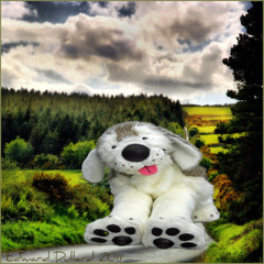 My Heart (prod. Dog)