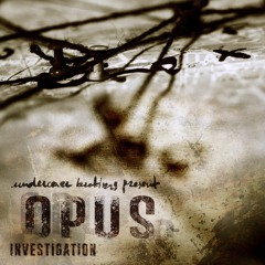 Opus Investigation(Full EP)