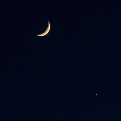 ເດືອນດາວດວງດຽວ - Sunset boii ft. Crissmo