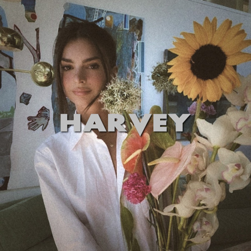 harvey - her’s (sped up)