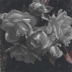 White Lies (prod. Curtains)