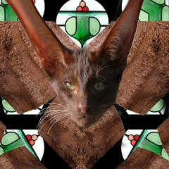 2. Triangle Head (For upcoming album)