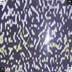 Scrapped (Cut out)