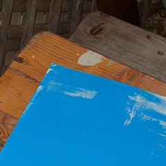 burn (xposdflesh remix)