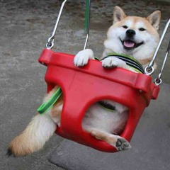 Swing Doggo's Lullaby