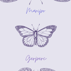Maripo