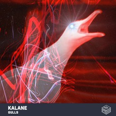 Kalane - Gulls (free download)