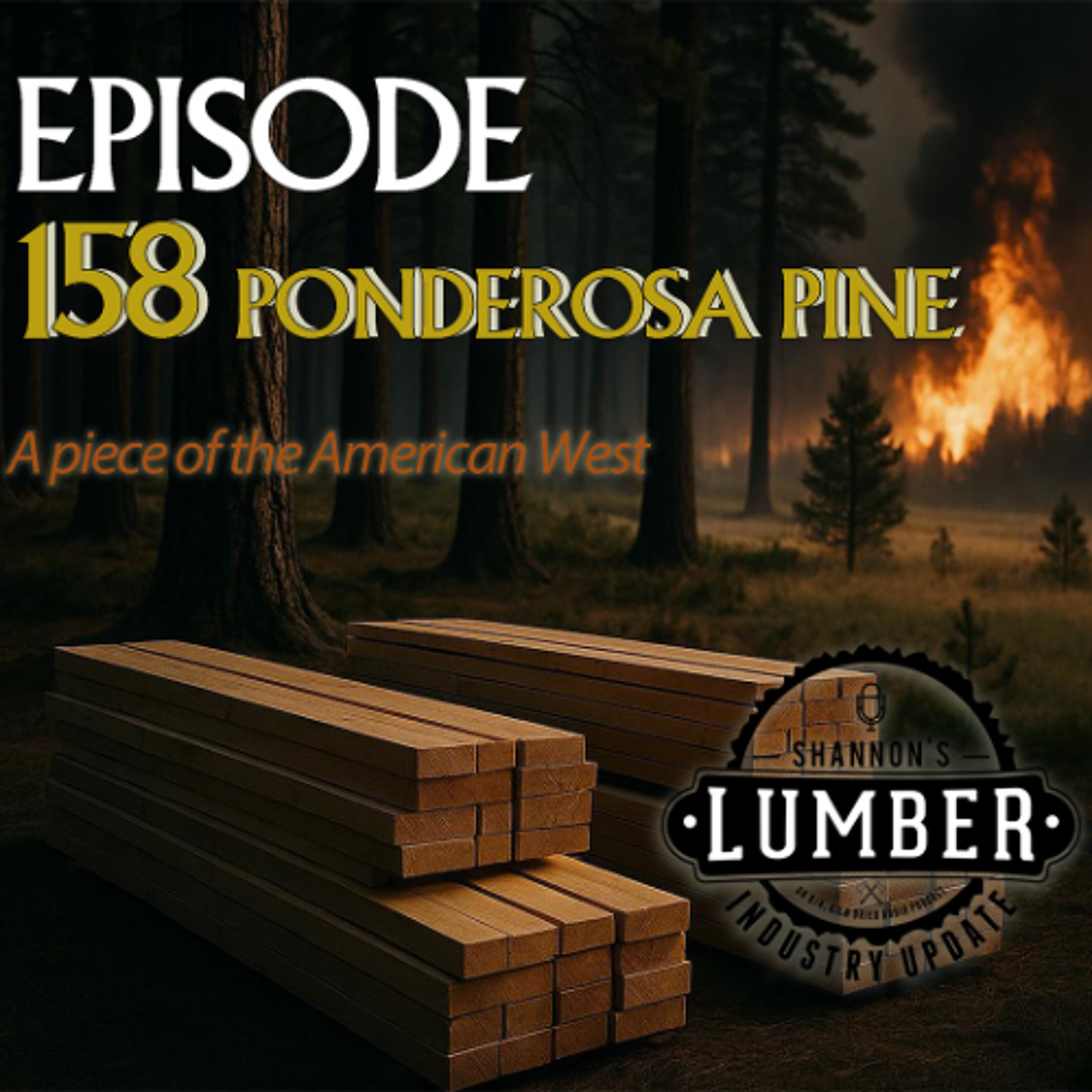 LU158 Ponderosa