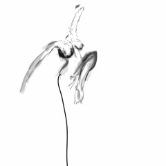 Coco Noir - My Vows (Coco Noir) Finalfix3