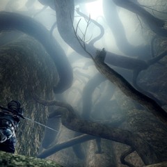 DARKROOT