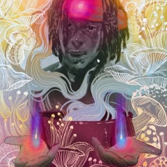 Maestro [Pro: Faux Sala]