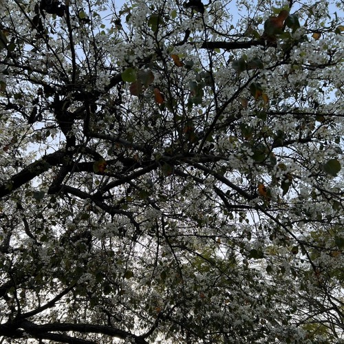 Tired (free download)