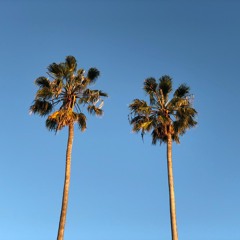 Tropical and Funk Mixtapes