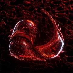 MXGN - First Time On Acid (Free Download)