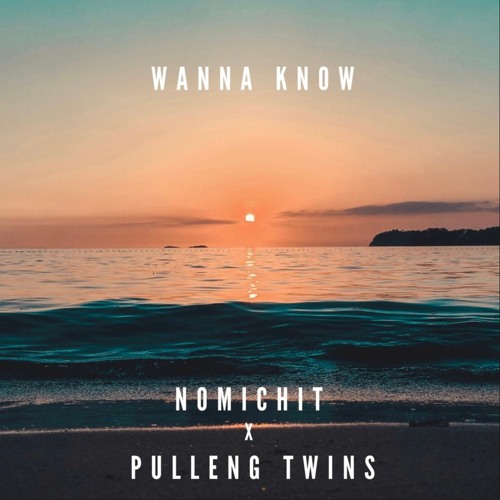 Wanna Know - Nomichit X ThePullengTwins