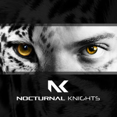 Andrea Ribeca & RAM - Nocturnal Knights 004