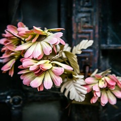 ''ARTIFICIAL'' - Trap