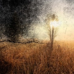 Backlit