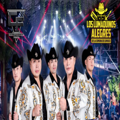 mix los lumaquinos alegres - dj cesar ferrada
