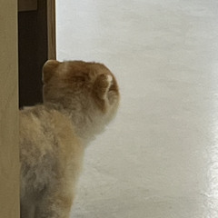 [cover] 데이먼스이어 - Yours