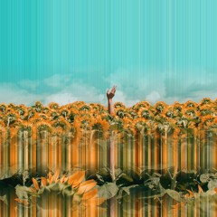 Emerald Lotus - My Time (Single) [EP OUT 24/11/23]