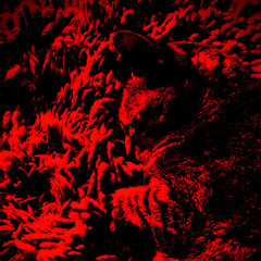 010421007 MN Shared System