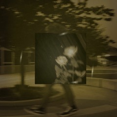 Lies Within Whispers