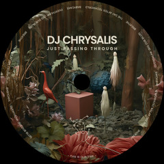 PREMIERE : DJ Chrysalis - Babycake