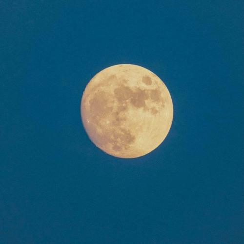 Yêu Ai Cũng Sai Remix - Ngoc Nhat