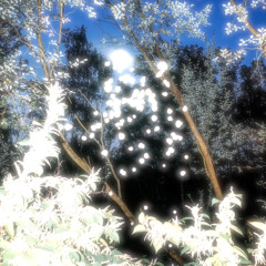 nature's spirits