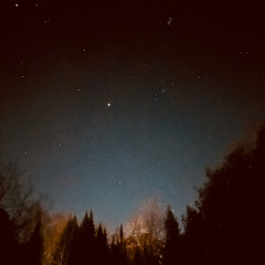 Experiencia de caminata sonora con grillos al final