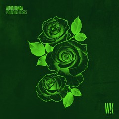 Aitor Ronda - Pounding Roses (Original Mix)