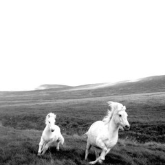 IATATY - Kishi Bashi  - Remix (Slowed/Reverbed)