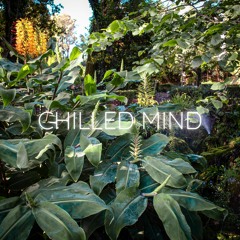 Chilled Mind (Original Mix)