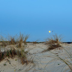 Qonstantine - Q-Set #4