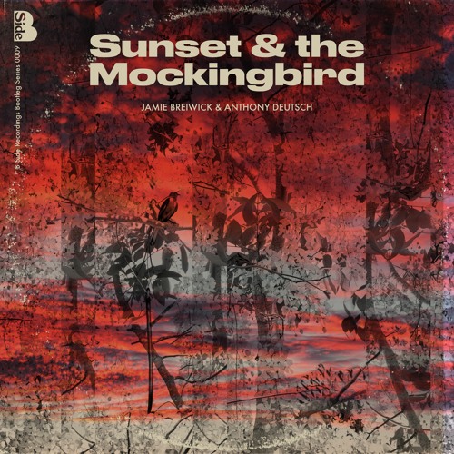 Sunset and the Mockingbird