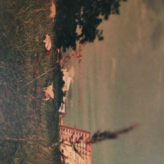 NFNR - Botanicity (poetry Iryna Zhladko)