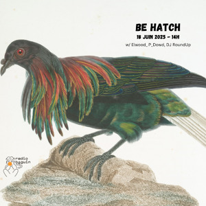 BE HATCH #9 • EVEL, DJ Round Up & more (18.06.25)