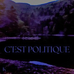 C'EST POLITIQUE